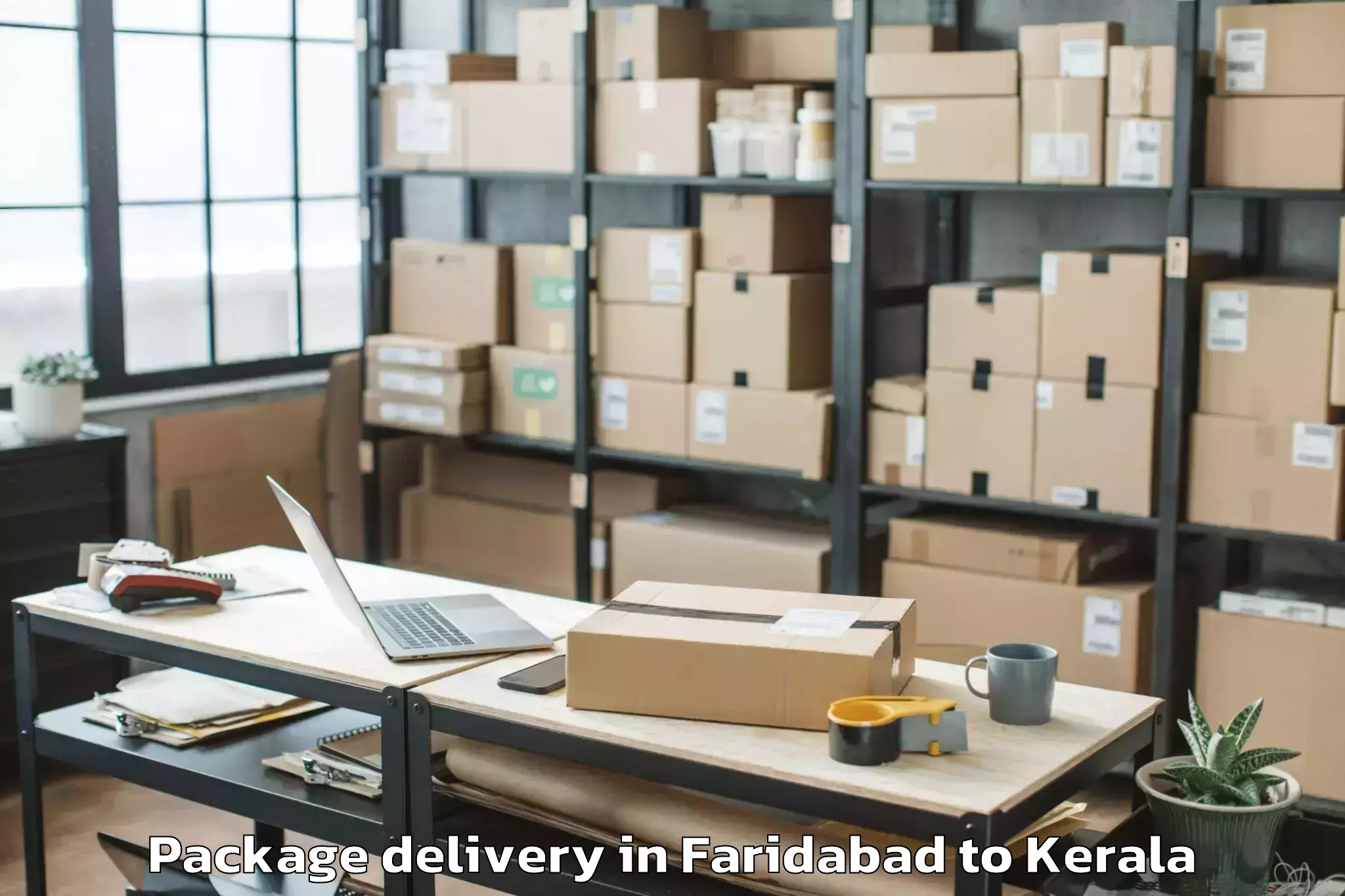 Professional Faridabad to Shoranur Package Delivery